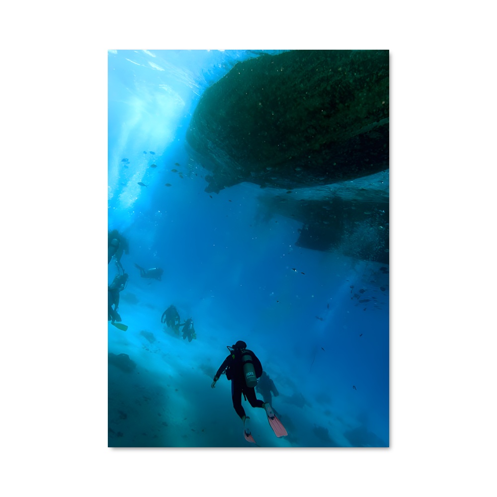 Poster Red sea